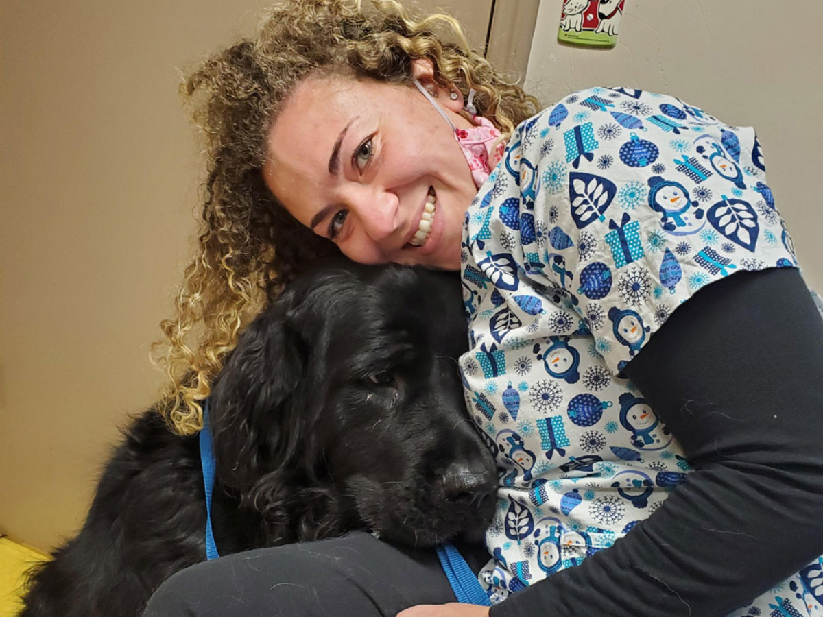 veterinarian with dog in Hopewell Junction, NY