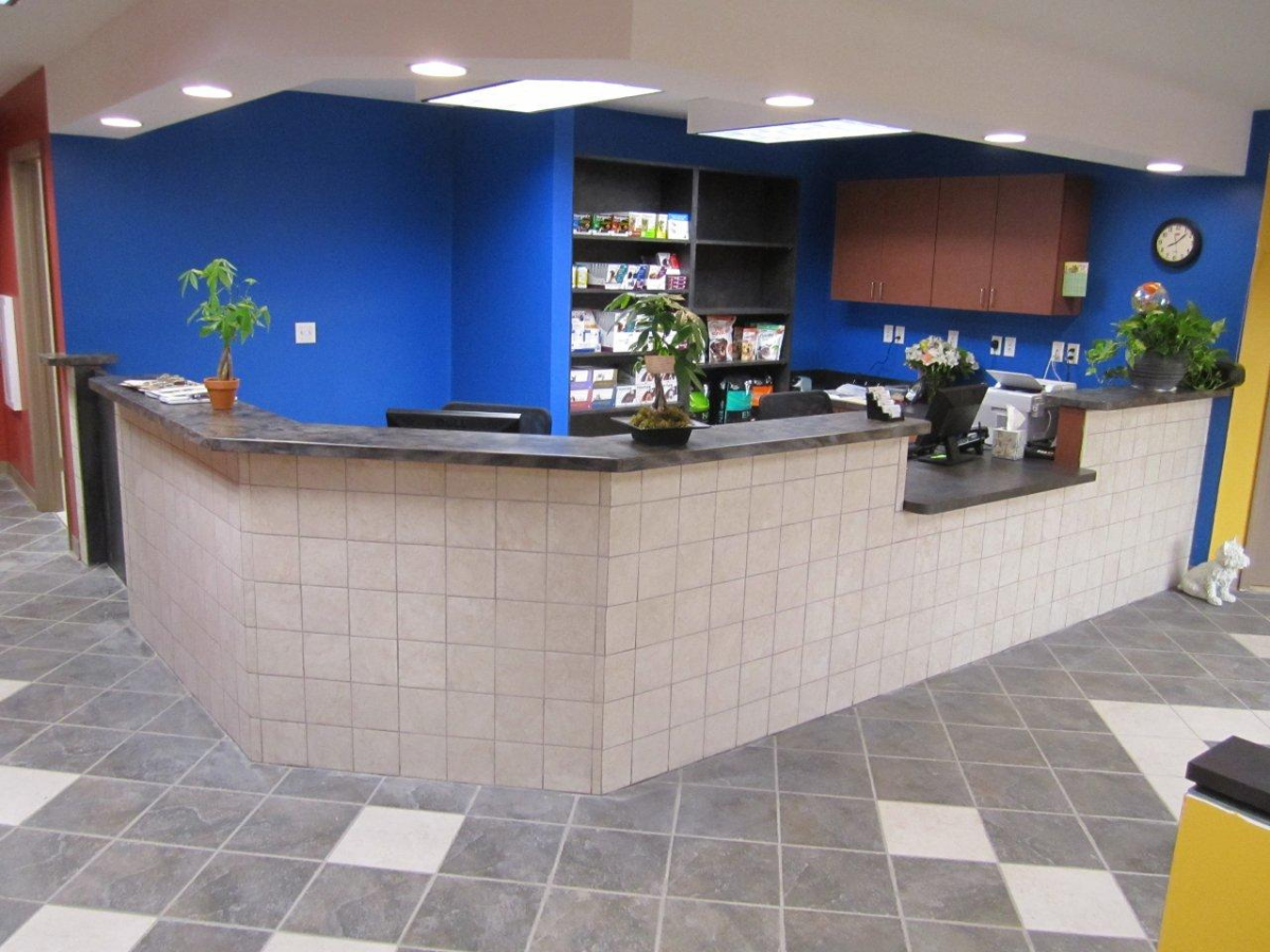 interior animal hospital in Hopewell Junction, NY