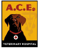 A.C.E Veterinary Hospital